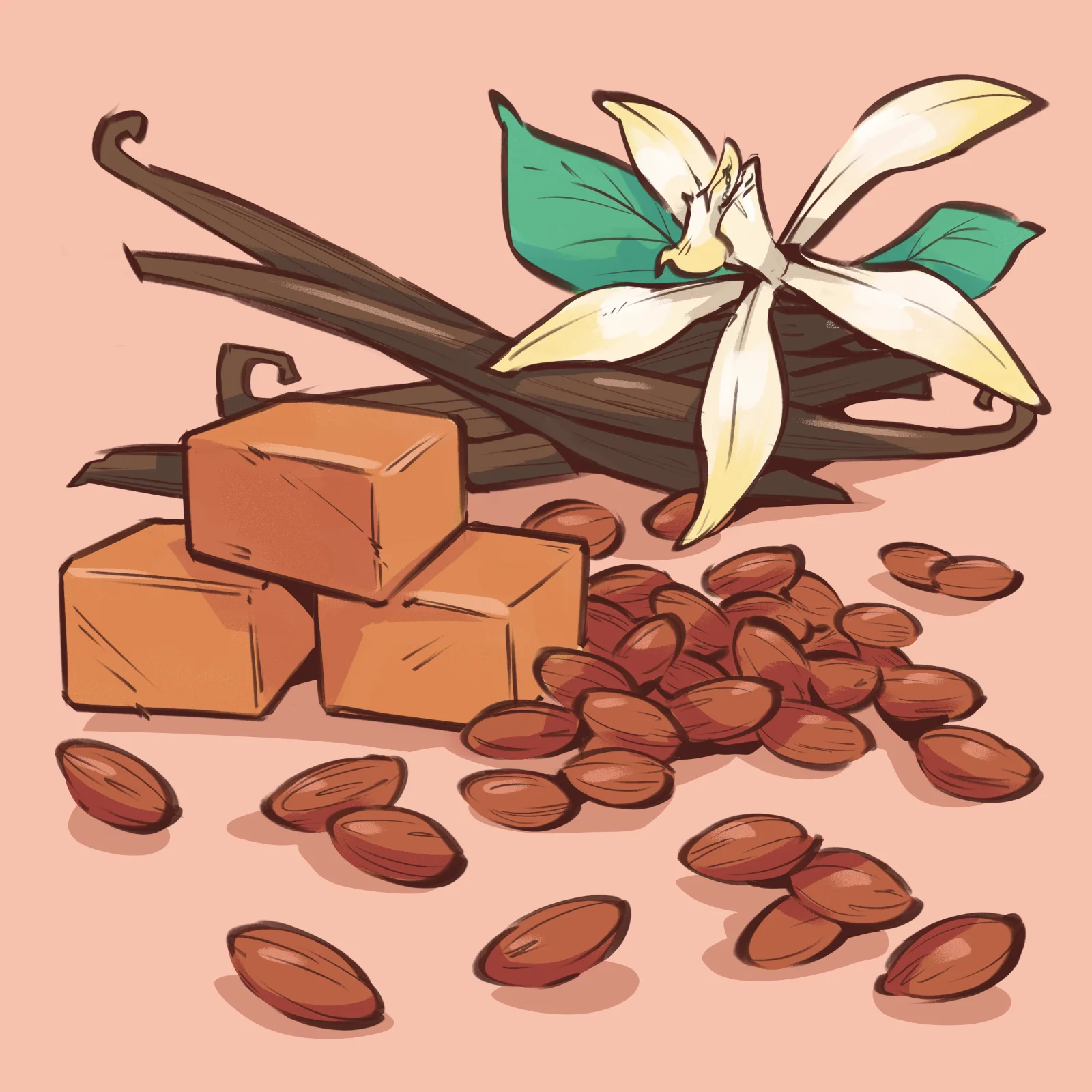 Line art editorial illustration of a Sable coffee blend, created for the Pourtables coffee brand series