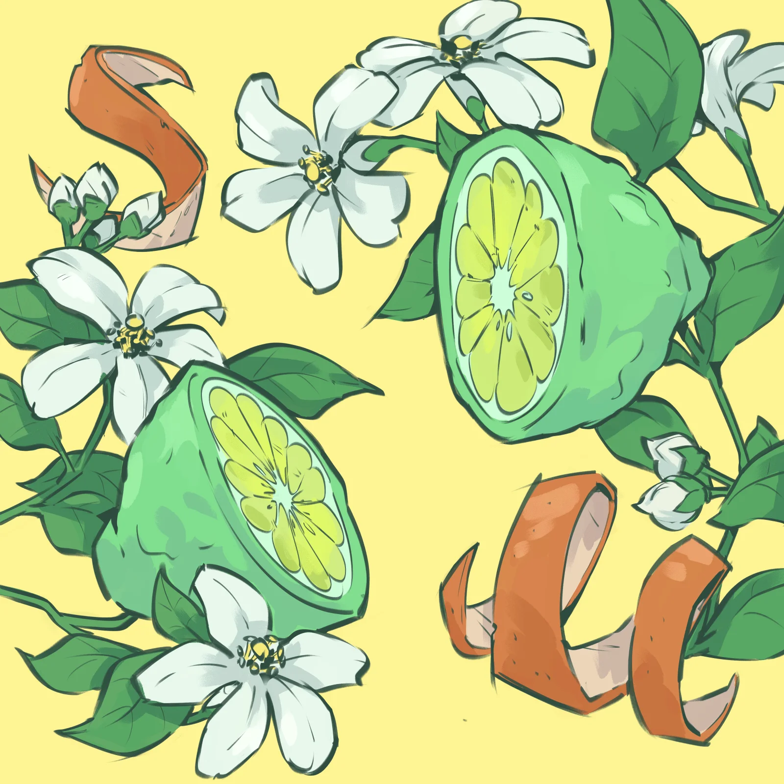Line art editorial illustration of an Orange Pekoe coffee blend, created for the Pourtables coffee brand series