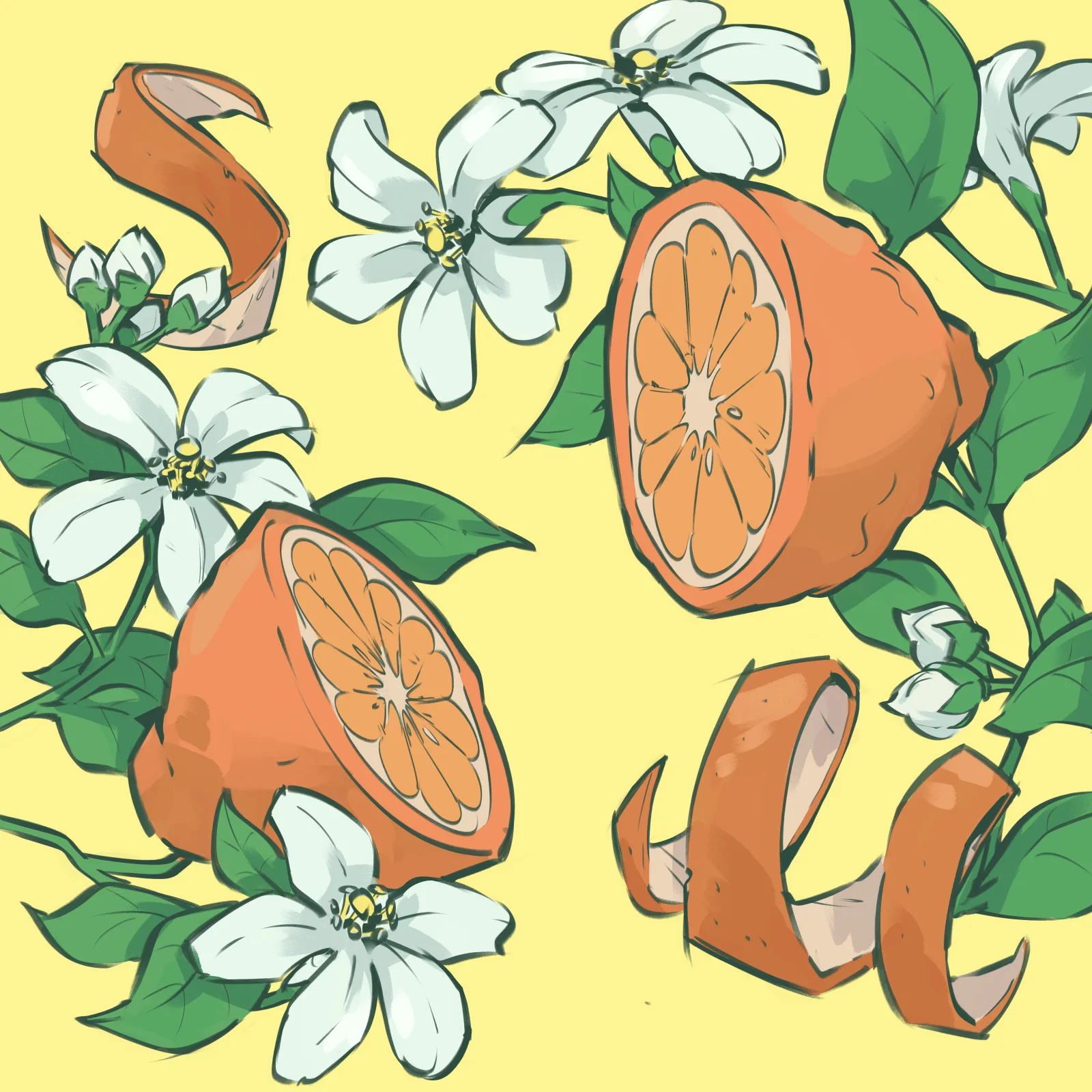 Botanical illustration of orange blossoms, orange slices, and citrus peels on a warm yellow background