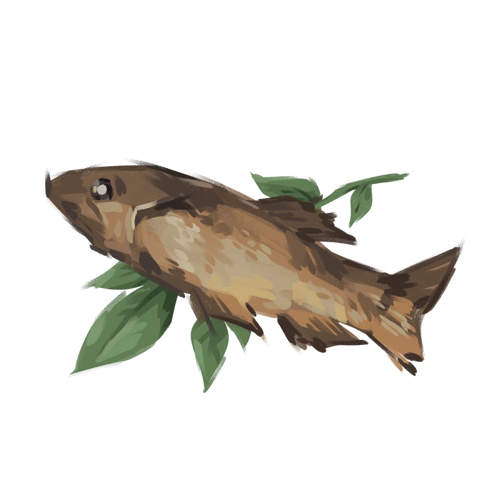 Illustration of a whole cooked fish garnished with leaves